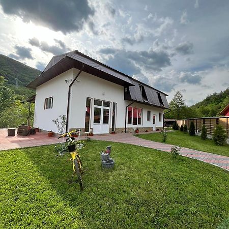 Casa Vio Guest House Nehoiu Exterior photo