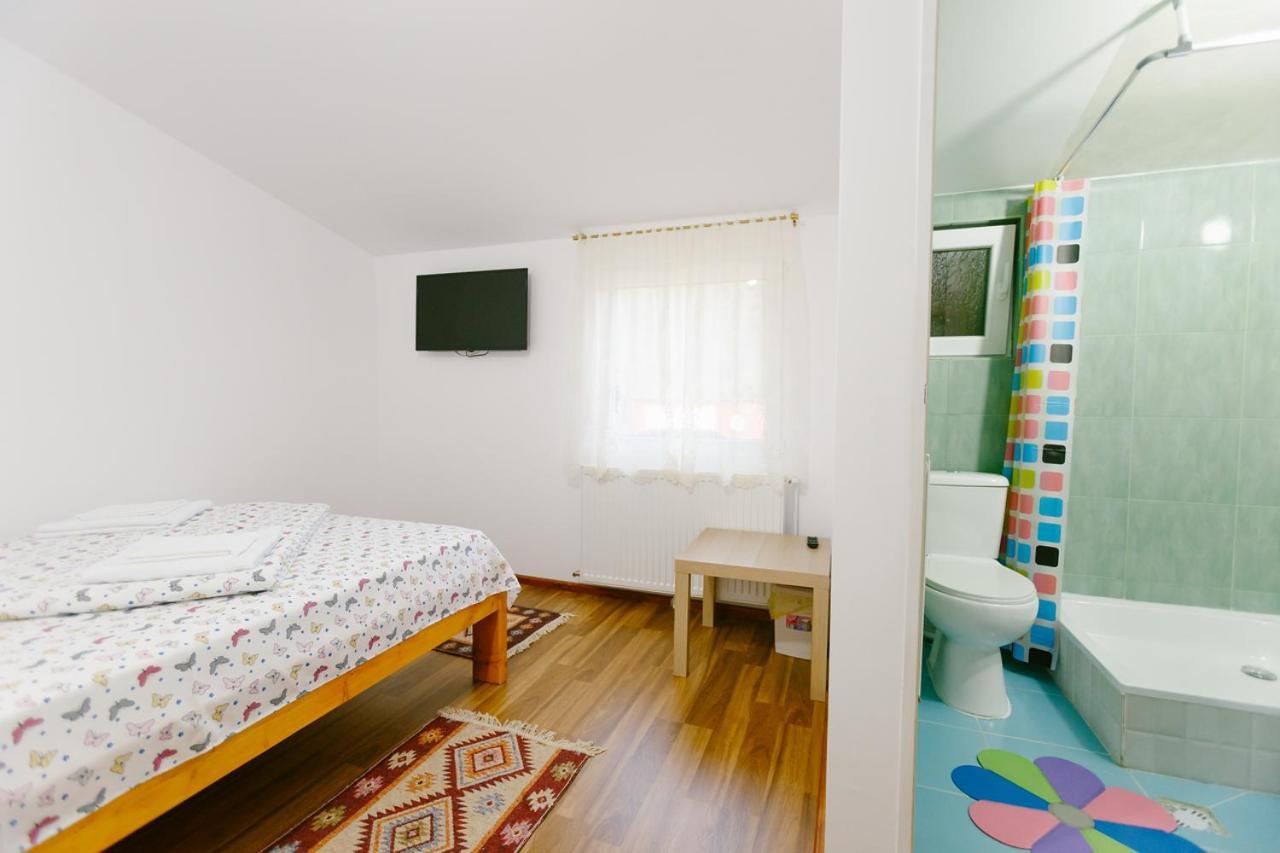 Casa Vio Guest House Nehoiu Exterior photo