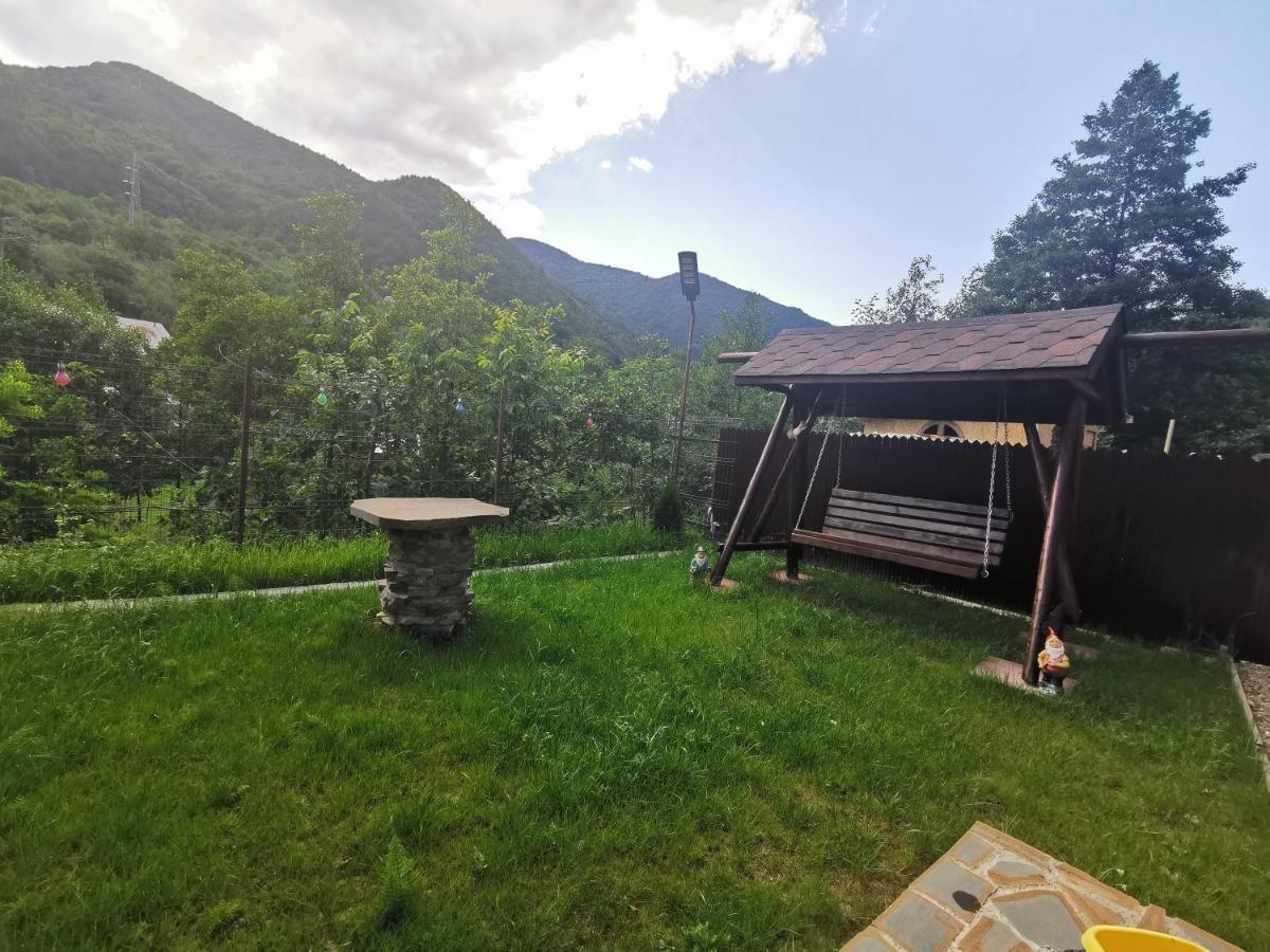 Casa Vio Guest House Nehoiu Exterior photo