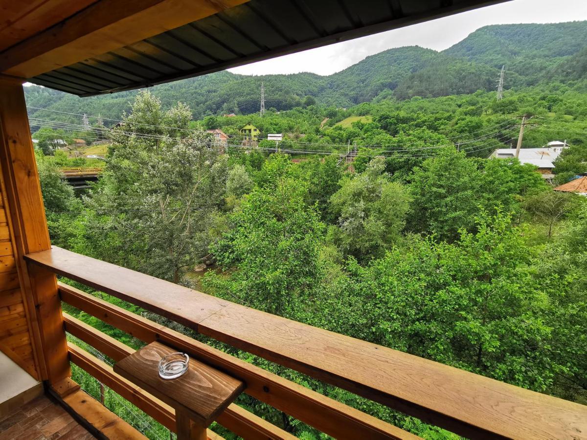 Casa Vio Guest House Nehoiu Exterior photo