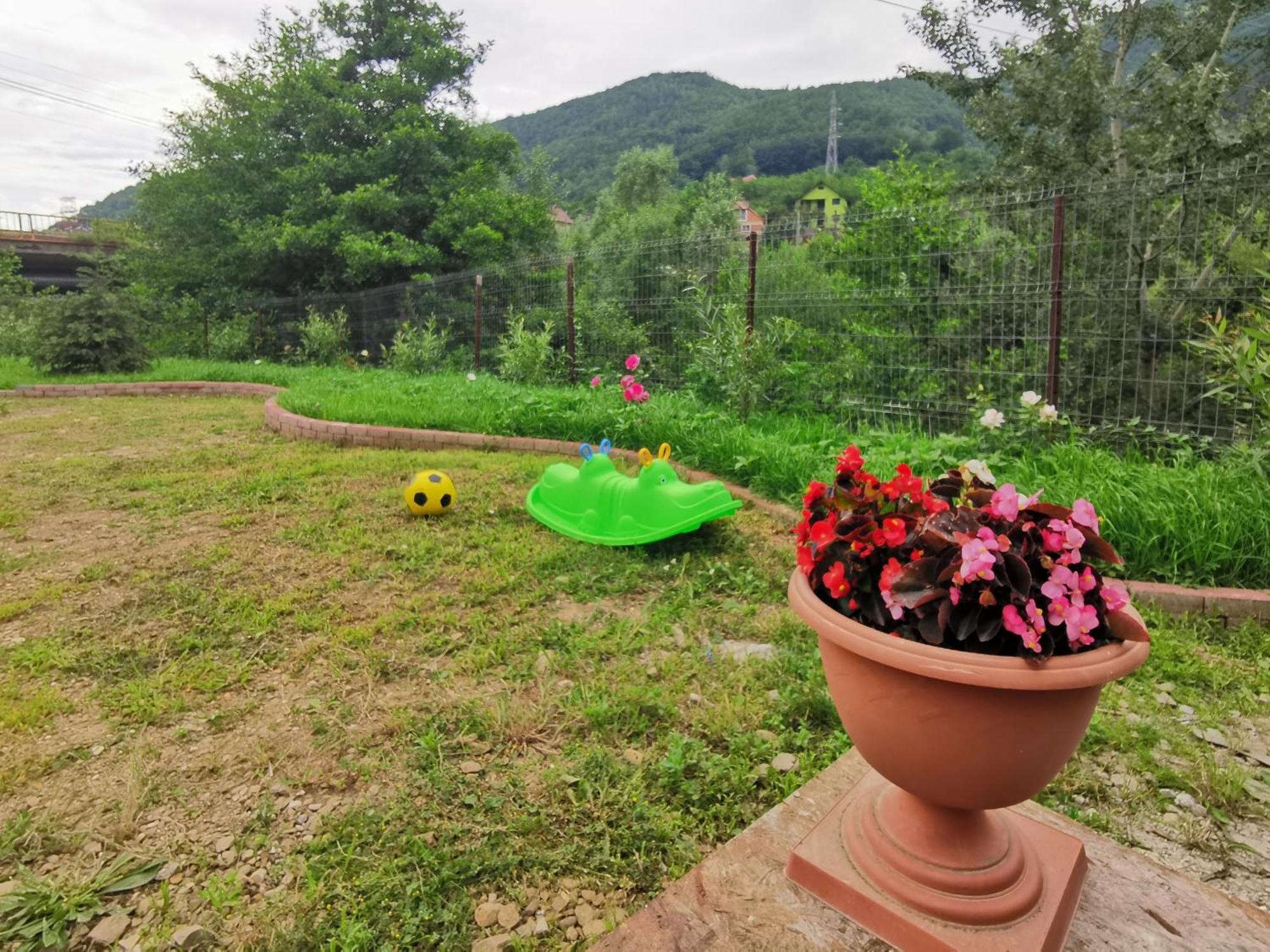 Casa Vio Guest House Nehoiu Exterior photo